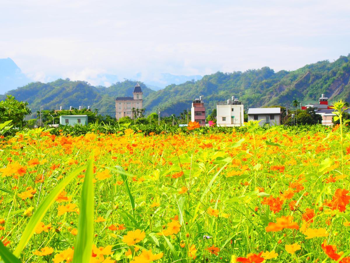 Palm Villa Guesthouse Nantou Dış mekan fotoğraf