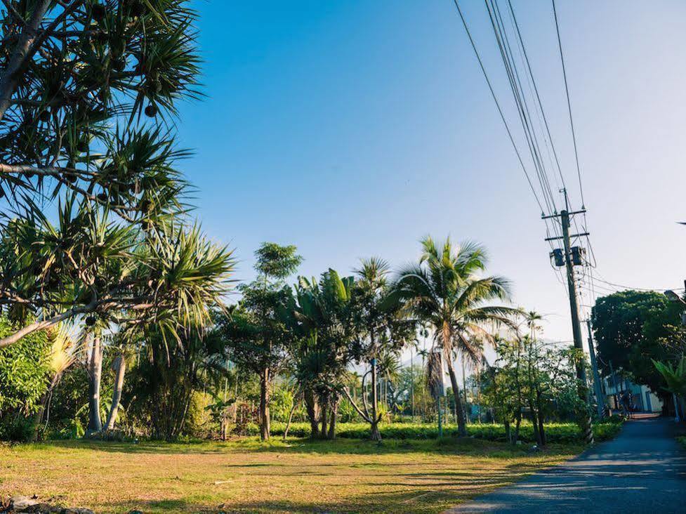 Palm Villa Guesthouse Nantou Dış mekan fotoğraf